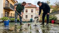 Jednoduchý trik na mech na terase bez bělidla: šetrný postup a jedna kuchyňská vychytávka